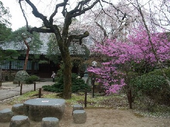 中院の庭.jpg